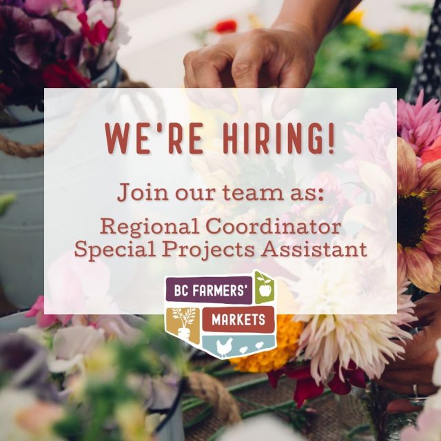 We are hiring! See link in our bio to apply. 😄

BCAFM is excited to announce that we are hiring for 2 new positions. We encourage you to apply or to share with your network. See below for the current positions we are looking to fill.

🥕BCAFM Regional Coordinator – Interior Northern BC (Kamloops, Salmon Arm, Chase, Sicamous, Clearwater, Barriere)
🥕BCAFM Special Projects Assistant – Remote Work & Greater Vancouver Area Based

Please note that this is funded by Canadian Summer Jobs Program. The deadline to apply is on Monday, May 16th, 2022 at NOON. We look forward to hearing from you!