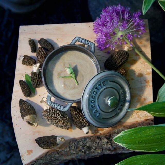 🍄 The must try mushroom soup for the summer! Find the recipe below 👇

Recipe shared by the award winning cookbook author @jennifer.schell.8

BC WILD MUSHROOM SOUP

BC Wine Pairing; BC Sauvignon Blanc, Pinot Gris, or Pinot Noir

Serves 4

Total Time:  1 hour 35 minutes
Prep Time:  15 minutes

Ingredients

6 tablespoons butter (3oz , 90ml) (extra virgin olive oil may be substituted) 
1 large onion thinly sliced (leeks may also be used) 
2 cloves garlic chopped
12 ounces (350 grams) mushrooms coarsely chopped
3 cups chicken or vegetable stock 
1 cup dry white wine 
1 sprig parsley (for a bolder flavour a sprig of fresh rosemary may be used; this is a good option for brown mushrooms but is too strong for chanterelles or white buttons) 
2 ounces sherry or port 
salt and pepper 
(for a vegan version, use extra virgin olive oil and vegetable stock in place of butter and chicken stock)
Method

Over medium heat melt two tablespoons of the butter in a saucepan. Toss in the onion & garlic and cook until soft but not browned. Toss in the remaining butter and then add the mushrooms. Cook for 10 minutes. 

Pour in the chicken or vegetable stock and wine, add the parsley, and bring to a boil. When bubbling, reduce to a simmer and cook for an hour. 

Pour soup into a blender; you need to do this in stages or you risk getting hot mushroom soup everywhere.  Fill the blender ¼ full, hold the lid on tight.  Blend on high speed, until smooth. Pour blended soup in a separate pot and refill the blender.  Repeat until all the soup is blended. 
Lightly simmer for 20 minutes.  Pour in the sherry, and season with salt and fresh ground pepper. 

Optional 

As a final optional flourish, once the soup is in serving bowls, drizzle a couple drops of truffle oil or grate a tiny amount of fresh truffle on the top of each bowl.

@winebcdotcom #bcfarmersmarket #bcafm #BCWine #SwirlBC #pourmorebc #wineandfood #foodandwine #wineandfoodpairing #eatdrinkloal #BCgrown #FarmersMarkets #BCfarm #BCagriculture #exploreBC #LoveMyMarket #WhyFarmersMarkets #ShopLocal