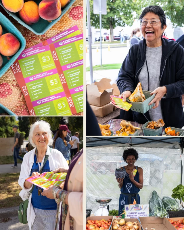 As we close out the 2025 Farmers’ Market Nutrition Coupon Program season, we want to pause to say one big thank you to the incredible community that makes this program possible.⁠
⁠
To our funders, farmers’ markets, community partners, vendors, and participants — your involvement, care, and collaboration nourish communities across BC every single season.⁠
⁠
This program exists because of the dedication of people working together to improve access to fresh, local food while supporting BC farmers. We’re deeply grateful for each of you. 💚⁠
⁠
We look forward to sharing our full program impact in the new year — but for now, thank you for an inspiring season.⁠
⁠
#FarmersMarketsBC #NutritionCouponProgram #SupportLocal #Community #Gratitude #BCAFM #FMNCP⁠